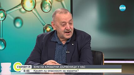 Проф. Кантарджиев: Дървениците не могат да предадат опасни заболявания