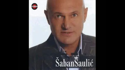 Saban Saulic Mihajlo bg prevod
