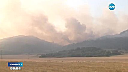 ОПАСНОСТ ОТ ПОЖАРИ: Жегата поставя в риск от пламъци 7 области