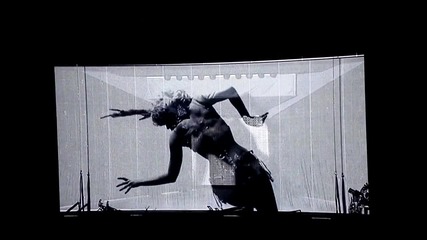Interlude - Put Your Paws Up
