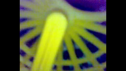 Луд хамстер 2