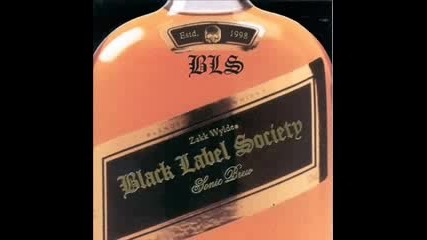 Black Label Society- Hey You (batch of Lies) W Lyrics