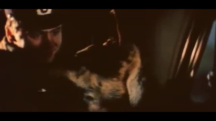 Пограничный пес Алый ( 1979 ) - Целия филм