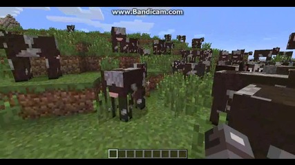 Minecraft - Naselenie na kravi Wtf !!!