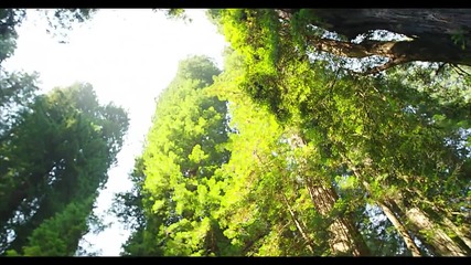 Redwood Ultra Hd