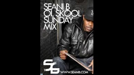 Seani B Ol Skool Sunday Mix July10, 2011(90's hip hop)