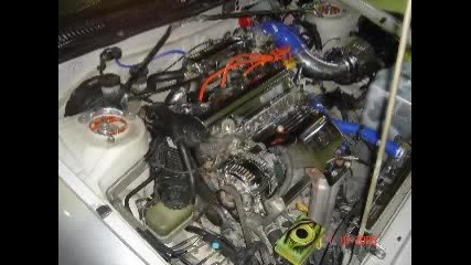 Car Show