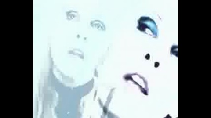 Stereoskop - Forget Me Not
