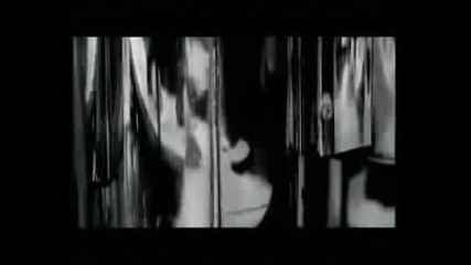 Lighthouse Family - High 