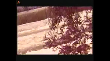 Toni Dacheva - Gubq Te