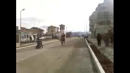 Гонка С Атв И Кон На Тодоров Ден Лозенец