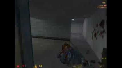 Half - Life