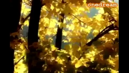 За Конкурса на ppoollii44kkaa890 / Есен/