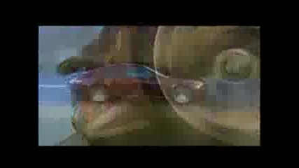 Bmw M6 Commercial 