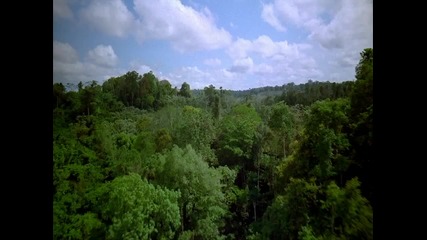 Amazon / Амазонка (full Hd) *1080p*