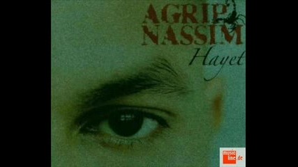 Agrip Nassim feat.dinar - Hessenstyle Kanaken 