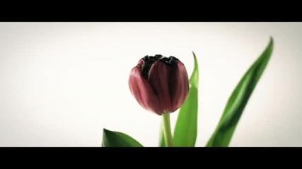 {new} Mayrah - No Fake Love (official Video)
