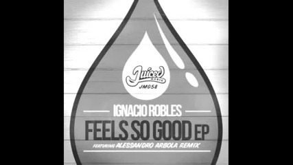Ignacio Robles - It Feels So Good