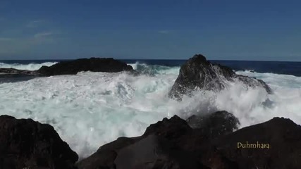 Ocean Breeze... 