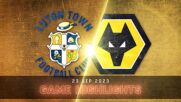 Luton Town vs. Wolverhampton Wanderers FC - Condensed Game