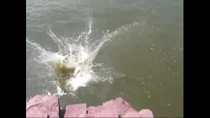 Най - Гадното скачане от скала във вода ( Пречукване ) ;dd 