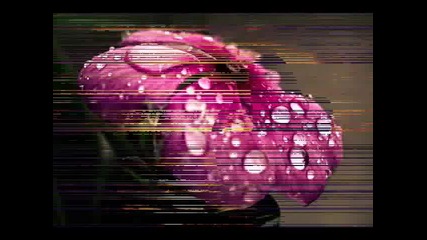 Hi-gate - Only The Silence