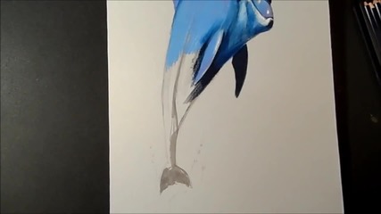 Drawing a 3d Dolphin, Anamorphic Illusion, Time Lapse