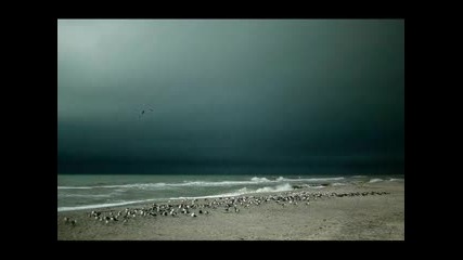 Storm - Langt Borti Lia