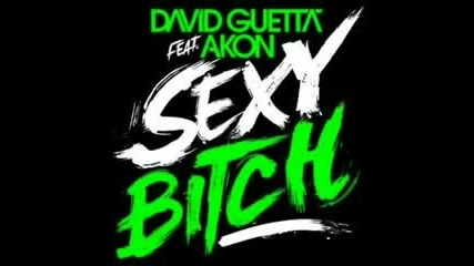 David Guetta feat. Akon - Sexy Bitch Nice Sound Bass [2009 new]