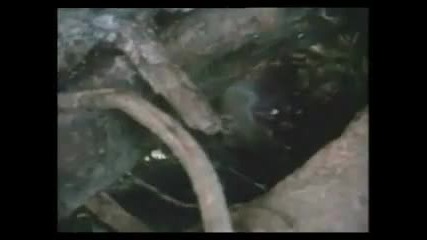 Sherif Dean - Do You Love Me 
