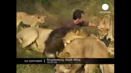 Hugs with Lions