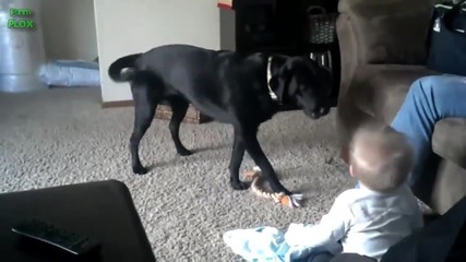 Компилация Смях !.. Babies Laughing Hysterically at Dogs Compilation