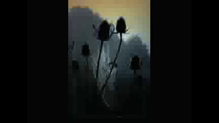 Moonbeam - Cocoon (original Mix).avi