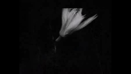 Razzapparte - Su Di Te