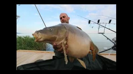 Big Carp Fishing 2010