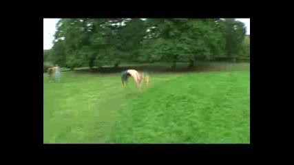 Extreme Sports - Parkour