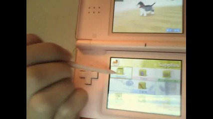 nintendogs:lets play witch ball