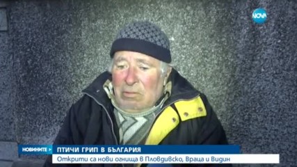 Откриха огнища на птичи грип в три области на страната