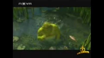 Gospodari Na Efira - Funky Shrek