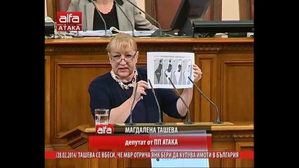 Магдалена Ташева се вбеси, че Мвр отрича Янк Бери да купува имоти в България. Тв Alfa 28.02.2014г.