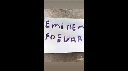 Vid_89180602_005224_233.mp4
