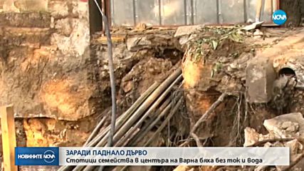 ЗАРАДИ ПАДНАЛО ДЪРВО: Стотици семейства без ток във Варна