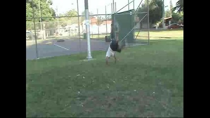Football - Супер Удар High Quality
