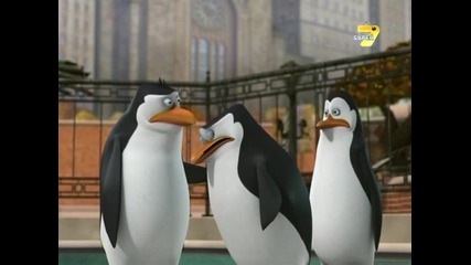 Пингвините от Магадаскар