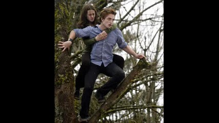 Twilight