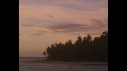 Relaxin The Fiji Islands