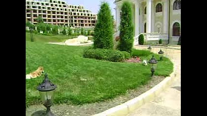 Mov01164