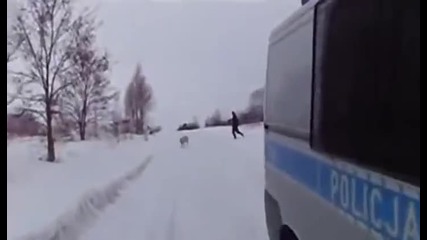 Полицаи гонят да хванат прасе на заснежена улица , смях