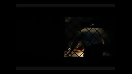 Timbaland feat. Katy Perry - If we ever meet again
