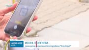 „Сканирай лапата“: QR код насочва към онлайн платформа с указания как да се реагира при животно в беда